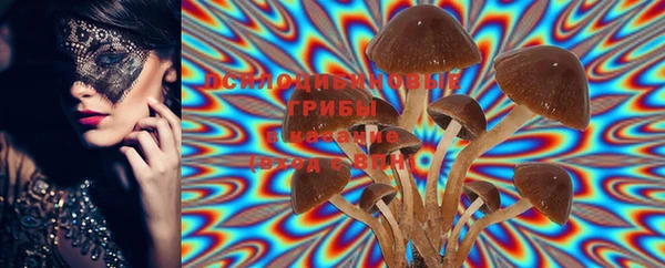 дживик Вязники