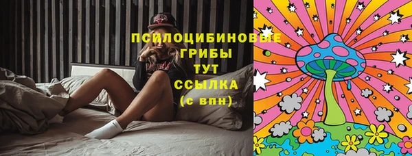 мяу мяу мука Вязьма