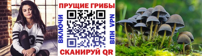 что такое наркотик  Пикалёво  Псилоцибиновые грибы GOLDEN TEACHER 