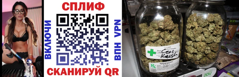 Шишки марихуана план блэк спрут рабочий сайт Пикалёво